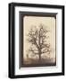 An Oak Tree in Winter by William Henry Fox Talbot-null-Framed Photographic Print