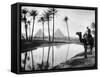 An Oasis Near Cairo, Egypt, C1920S-null-Framed Stretched Canvas