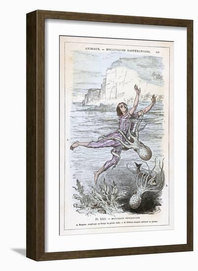 An Octopus Attacks a Bather and Wraps Its Tentacles Around His Body-null-Framed Art Print