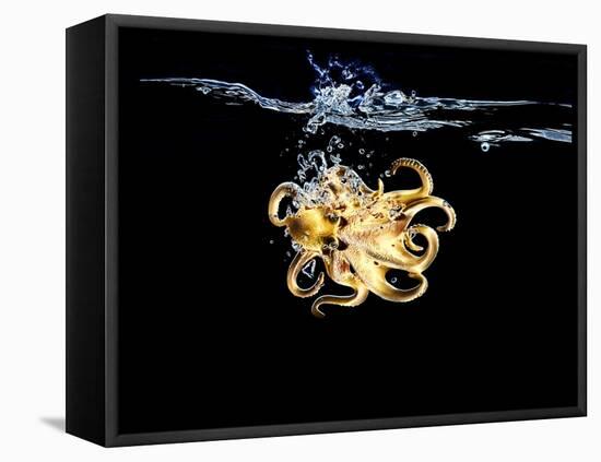 An Octopus in Water-Hermann Mock-Framed Stretched Canvas