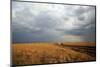 An off-road vehicle driving in the African savanna, Masai Mara Game Reserve, Kenya, East Africa, Af-null-Mounted Photographic Print