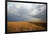 An off-road vehicle driving in the African savanna, Masai Mara Game Reserve, Kenya, East Africa, Af-null-Framed Photographic Print