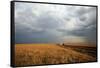 An off-road vehicle driving in the African savanna, Masai Mara Game Reserve, Kenya, East Africa, Af-null-Framed Stretched Canvas