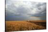 An off-road vehicle driving in the African savanna, Masai Mara Game Reserve, Kenya, East Africa, Af-null-Stretched Canvas