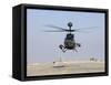 An Oh-58D Kiowa Warrior Hovers over the Flight Line at Camp Speicher, Iraq-null-Framed Stretched Canvas