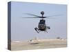 An Oh-58D Kiowa Warrior Hovers over the Flight Line at Camp Speicher, Iraq-null-Stretched Canvas