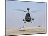 An Oh-58D Kiowa Warrior Hovers over the Flight Line at Camp Speicher, Iraq-null-Mounted Photographic Print