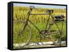 An Old Bicycle Along the Road in the Rice Patties of Ubud, Bali, Indonesia-Micah Wright-Framed Stretched Canvas