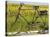 An Old Bicycle Along the Road in the Rice Patties of Ubud, Bali, Indonesia-Micah Wright-Stretched Canvas