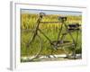 An Old Bicycle Along the Road in the Rice Patties of Ubud, Bali, Indonesia-Micah Wright-Framed Photographic Print