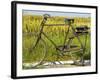 An Old Bicycle Along the Road in the Rice Patties of Ubud, Bali, Indonesia-Micah Wright-Framed Photographic Print