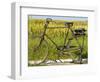 An Old Bicycle Along the Road in the Rice Patties of Ubud, Bali, Indonesia-Micah Wright-Framed Photographic Print