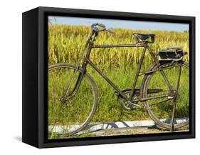 An Old Bicycle Along the Road in the Rice Patties of Ubud, Bali, Indonesia-Micah Wright-Framed Stretched Canvas