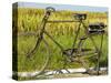 An Old Bicycle Along the Road in the Rice Patties of Ubud, Bali, Indonesia-Micah Wright-Stretched Canvas