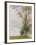 An Old Elm, Blewbury, Berkshire, 1946 (Oil on Board)-William Nicholson-Framed Giclee Print