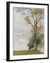 An Old Elm, Blewbury, Berkshire, 1946 (Oil on Board)-William Nicholson-Framed Giclee Print