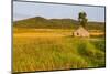 An Old Farm Building in a Field Next to the Mars Hill Wind Farm in Mars Hill, Maine-Jerry and Marcy Monkman-Mounted Photographic Print