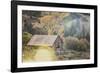 An Old Farm Building, Telluride, Colorado-Louis Arevalo-Framed Photographic Print