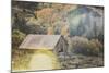 An Old Farm Building, Telluride, Colorado-Louis Arevalo-Mounted Photographic Print