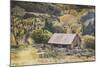 An Old Farm Building, Telluride, Colorado-Louis Arevalo-Mounted Photographic Print