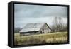 An Old Gray Barn-Jai Johnson-Framed Stretched Canvas