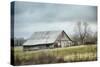 An Old Gray Barn-Jai Johnson-Stretched Canvas