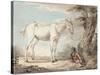 An Old Grey Horse Tethered to a Tree, a Boy Resting Nearby-Paul Sandby-Stretched Canvas