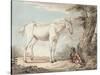 An Old Grey Horse Tethered to a Tree, a Boy Resting Nearby-Paul Sandby-Stretched Canvas