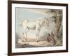 An Old Grey Horse Tethered to a Tree, a Boy Resting Nearby-Paul Sandby-Framed Giclee Print