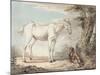 An Old Grey Horse Tethered to a Tree, a Boy Resting Nearby-Paul Sandby-Mounted Giclee Print