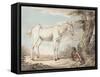 An Old Grey Horse Tethered to a Tree, a Boy Resting Nearby-Paul Sandby-Framed Stretched Canvas