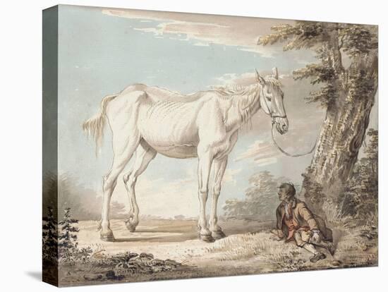 An Old Grey Horse Tethered to a Tree, a Boy Resting Nearby-Paul Sandby-Stretched Canvas