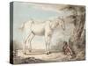 An Old Grey Horse Tethered to a Tree, a Boy Resting Nearby-Paul Sandby-Stretched Canvas