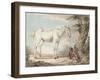 An Old Grey Horse Tethered to a Tree, a Boy Resting Nearby-Paul Sandby-Framed Giclee Print