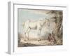 An Old Grey Horse Tethered to a Tree, a Boy Resting Nearby-Paul Sandby-Framed Giclee Print
