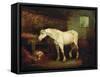 An Old Grey Mare at a Manger-George Morland-Framed Stretched Canvas