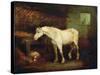 An Old Grey Mare at a Manger-George Morland-Stretched Canvas