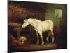 An Old Grey Mare at a Manger-George Morland-Mounted Giclee Print