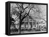 An Old Home in the Garden District of New Orleans-null-Framed Stretched Canvas