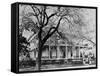 An Old Home in the Garden District of New Orleans-null-Framed Stretched Canvas