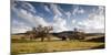 An Old Homestead in the Grasslands of the Flathead Indian Reservation, Lake County, Montana-Steven Gnam-Mounted Photographic Print