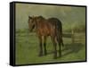 An Old Horse Standing in a Pasture with a Fence-Anton Mauve-Framed Stretched Canvas