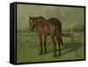 An Old Horse Standing in a Pasture with a Fence-Anton Mauve-Framed Stretched Canvas