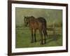 An Old Horse Standing in a Pasture with a Fence-Anton Mauve-Framed Art Print