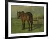 An Old Horse Standing in a Pasture with a Fence-Anton Mauve-Framed Art Print