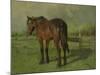 An Old Horse Standing in a Pasture with a Fence-Anton Mauve-Mounted Art Print