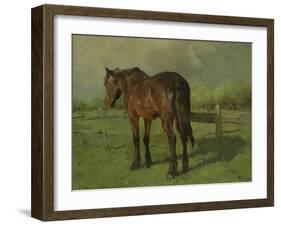 An Old Horse Standing in a Pasture with a Fence-Anton Mauve-Framed Art Print