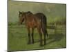 An Old Horse Standing in a Pasture with a Fence-Anton Mauve-Mounted Art Print