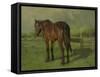 An Old Horse Standing in a Pasture with a Fence-Anton Mauve-Framed Stretched Canvas