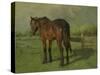 An Old Horse Standing in a Pasture with a Fence-Anton Mauve-Stretched Canvas